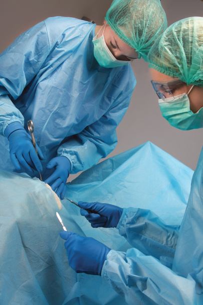 Operating a patient - Фото, изображение