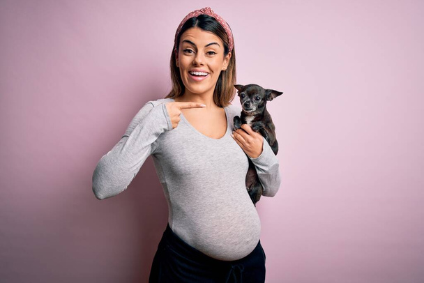 Νεαρή όμορφη μελαχρινή γυναίκα έγκυος περιμένει μωρό κρατώντας chihuahua κουτάβι πολύ χαρούμενος δείχνοντας με το χέρι και το δάχτυλο - Φωτογραφία, εικόνα