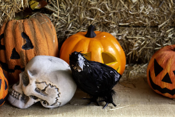 Calabaza aterradora en Halloween, fiesta y fantasmas, brujería
 - Foto, Imagen