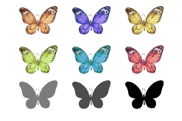 Saumaton kuvio perhosia. Käsin piirretty akvarelli kuva. Villieläimiä, hyönteisiä. Lomakortti, kevät, kesä. Voidaan käyttää tulostaa, tekstiili, paperi, tausta
. - Valokuva, kuva