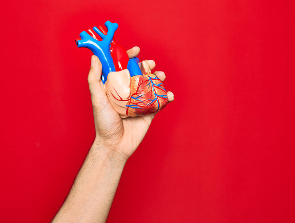 Beautiful hand of man holding artificial heart over isolated red background - Фото, изображение