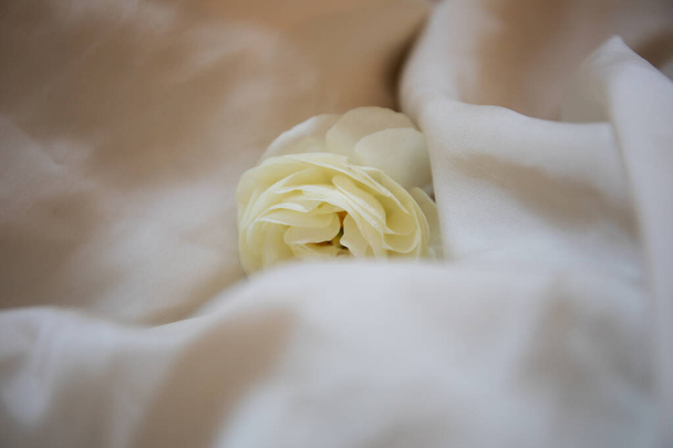 Macro gros plan de beau ranunculus blanc tendre (buttercup), isolé sur tissu de soie blanche, mariage et style romantique
 - Photo, image