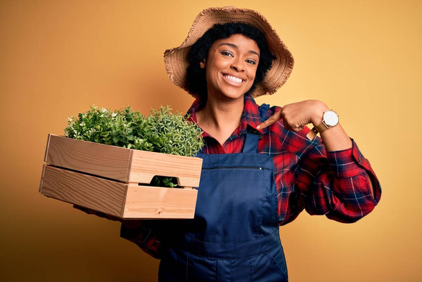 Kıvırcık saçlı, önlüklü, bitkilerle dolu bir kutuda kendini gösteren genç Afrikalı Amerikalı çiftçi kadın. - Fotoğraf, Görsel