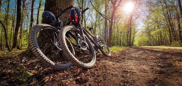 Duas bicicletas de montanha se apoiaram em uma árvore ao lado de uma bela trilha de floresta verde com sol brilhando pelas árvores. Conceito de mountain bike
. - Foto, Imagem