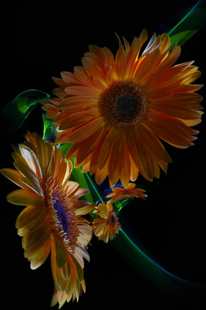 Two orange gerbera flowers and their reflections on the surface of a mirror ball, as well as improvisation with green and blue light in the background  - Foto, imagen