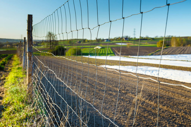 wire farming fence, close up - Photo, Image
