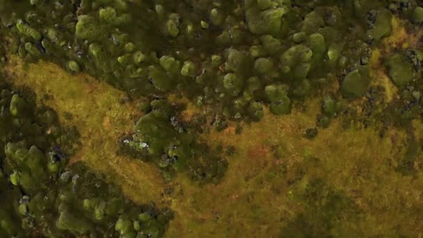 Вид с высоты 4k с высоты птичьего полета на лавовое поле, покрытое зеленым мхом в Исландии, Европа
 - Кадры, видео