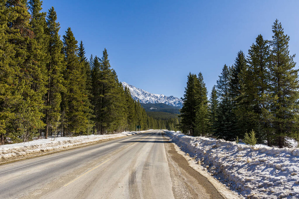 Highway to rocky mountains and blue sky canada - Φωτογραφία, εικόνα