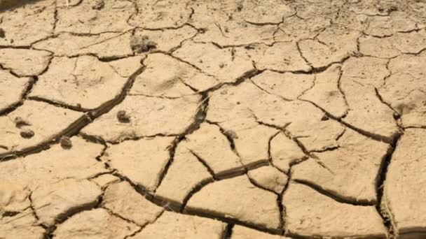 Tierra seca agrietada en el postre
 - Imágenes, Vídeo