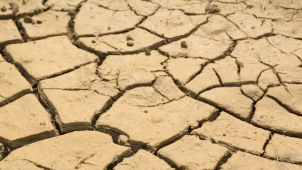 Getrocknete rissige Erde in der Wüste - Filmmaterial, Video