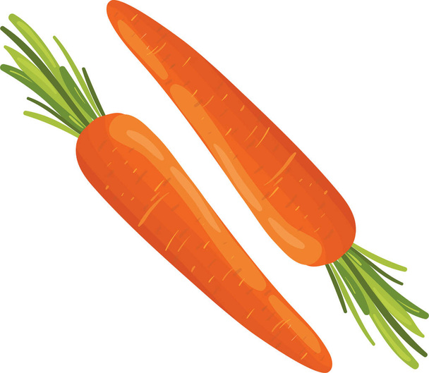 Яркая векторная морковка. Свежие мультяшные овощи изолированы на белом фоне. Используется для журнала, книги, плаката, открытки, обложки меню, веб-страниц
. - Вектор,изображение