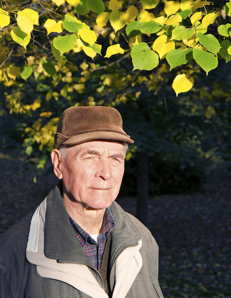 Portrait of senior man - Foto, imagen
