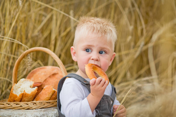 Egy fiú a búzamezőn. A bátyám kenyeret, zsemlét, bagelt eszik, és tejet iszik egy cserépkancsóból. A gyerek a szabadban játszik az aratás alatt.. - Fotó, kép