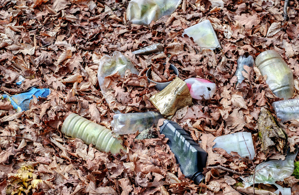 Brudny plastik i szklana butelka pozostawione w jesiennym lesie. Odpady tworzyw sztucznych w środowisku. Jesienny sezon. Plastikowe śmieci butelkowe w lesie. - Zdjęcie, obraz