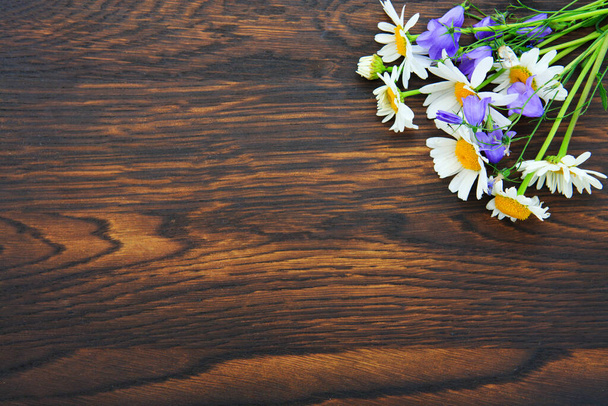 Flores de margarita blanca sobre tabla de madera. Fondo de verano
. - Foto, Imagen