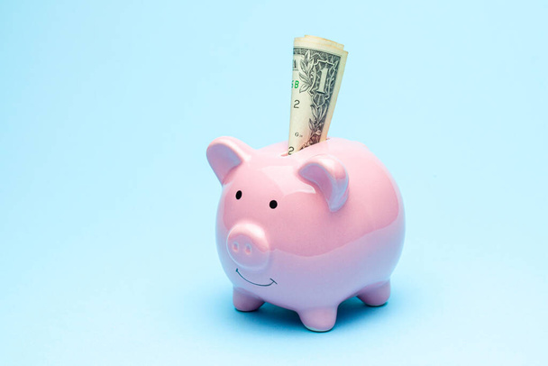 Vaaleanpunainen säästöpossu ja dollarin seteli sinisellä taustalla
 - Valokuva, kuva
