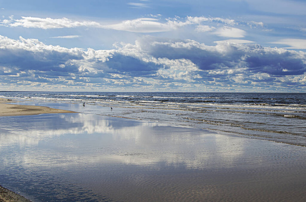 Beautiful marine landscape. Baltic sea during sunny day with beautiful clouds with gulls in the waves in Jurmala, Latvia - Photo, image
