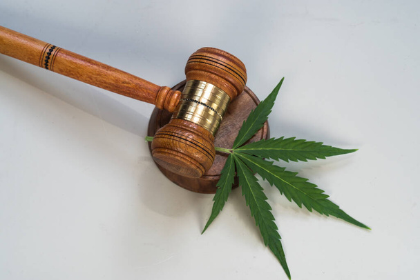CBD, hojas de marihuana y mazos de juicio
 - Foto, Imagen