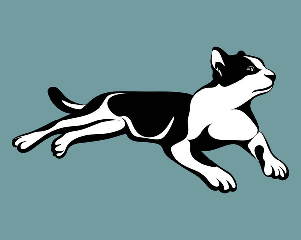 Ilustración vectorial de un gato blanco y negro con fondo azul. Está tirado en el suelo.
. - Vector, Imagen