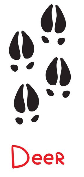 joukko mustia peuran jalanjälkiä, kuvake, eristetty esine valkoisella taustalla, vektori kuva
, - Vektori, kuva