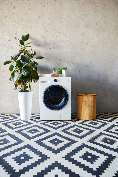 moderní pračka v blízkosti rostlin, lahví a prádelního koše v koupelně  - Fotografie, Obrázek