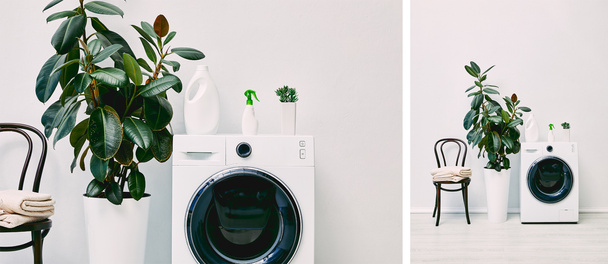 collage of green plants near detergent bottles on washing machines near chairs with towels  - Photo, Image