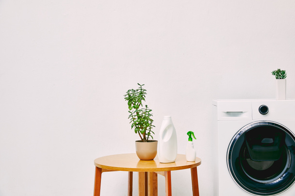 plante verte et bouteilles sur la table basse près de la machine à laver moderne dans la salle de bain
  - Photo, image
