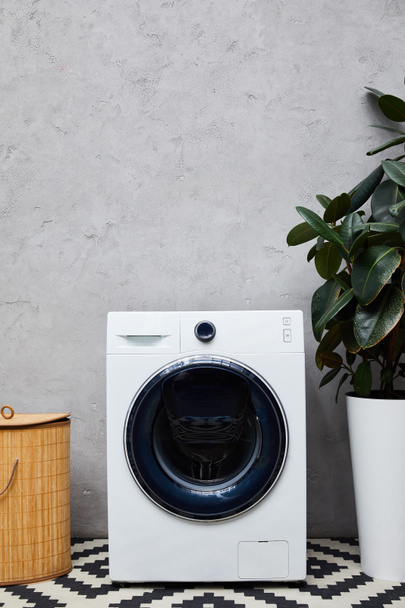 modern washing machine near green plant, laundry basket and carpet in bathroom  - Valokuva, kuva