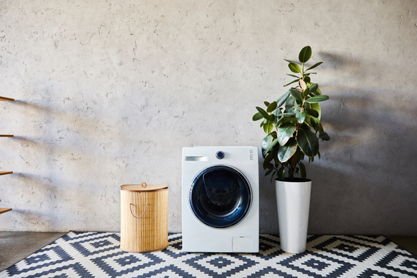 laundry basket near washing machine, green plant and ornamental carpet in modern bathroom  - Φωτογραφία, εικόνα