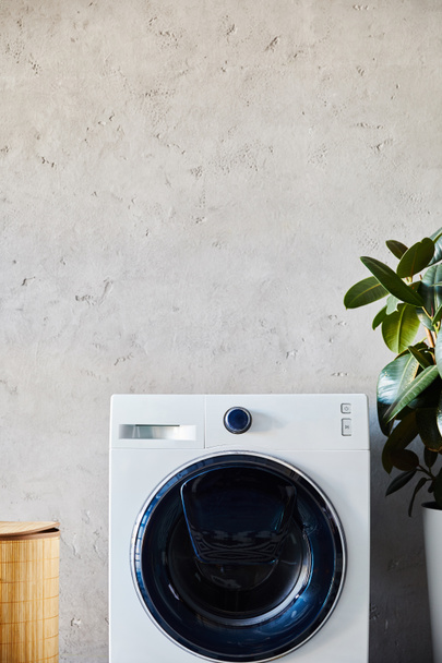 cesta de roupa perto de máquina de lavar roupa e planta verde no banheiro moderno
  - Foto, Imagem
