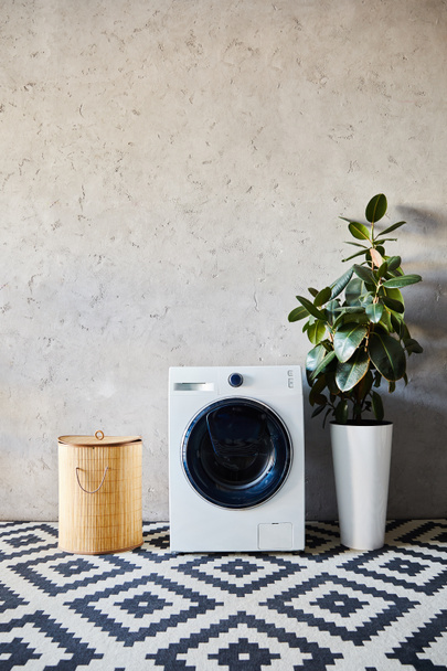laundry basket near white washing machine, green plant and ornamental carpet in modern bathroom  - Fotó, kép