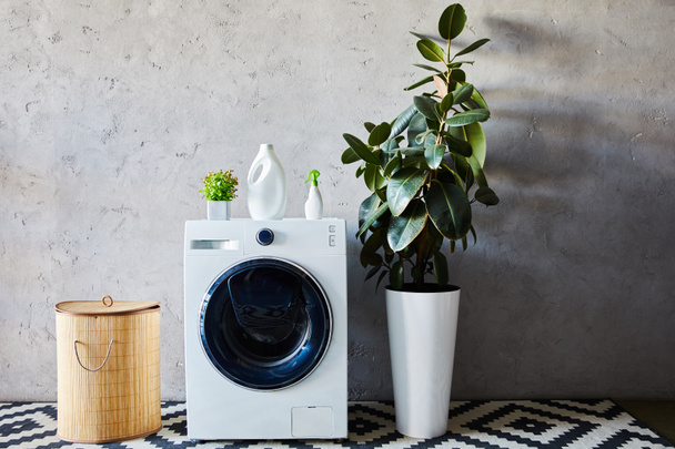 detergent and spray bottles on washing machine near plant, laundry basket and ornamental carpet in modern bathroom  - Photo, Image