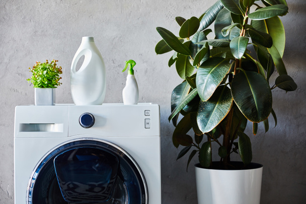 моющее средство и спрей бутылки на стиральной машине рядом с растениями в ванной комнате
  - Фото, изображение