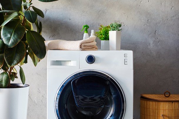 plantas, toalhas e garrafas na máquina de lavar roupa perto de cesta de lavanderia no banheiro
  - Foto, Imagem
