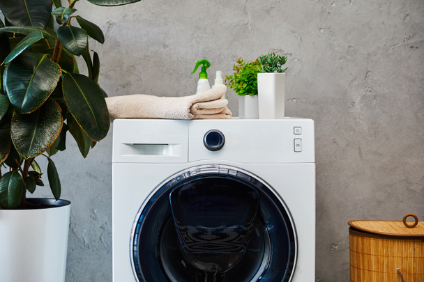 planten, handdoek en flessen op wasmachine in de buurt van wasmand in de badkamer  - Foto, afbeelding