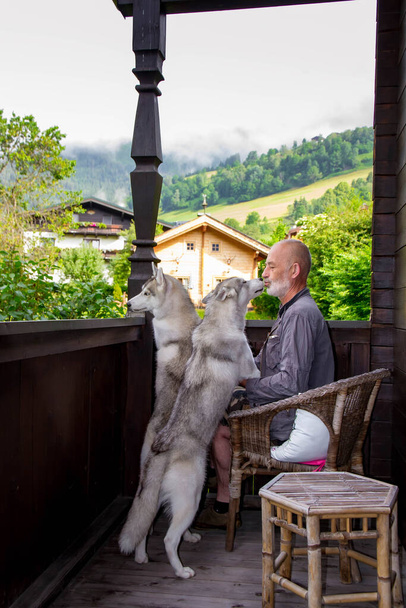 Az öregember játszik a kutyájával, Szibériai huskyval. Életstílus. Aktív kikapcsolódás. Alpok táj. - Fotó, kép