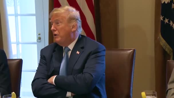 2018 - U.S. President Donald Trump complains about the U.S. trade deficit and justifies the imposition of tariffs on foreign countries. - Materiaali, video