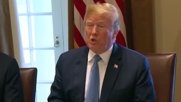 2018 - U.S. President Donald Trump complains about the U.S. trade deficit and justifies the imposition of tariffs on foreign countries. - Materiał filmowy, wideo