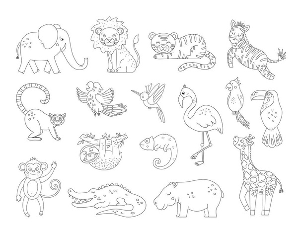 Vector cute exotic animals and birds outlines. Funny tropical black and white illustration. Jungle summer sketc - Vektori, kuva