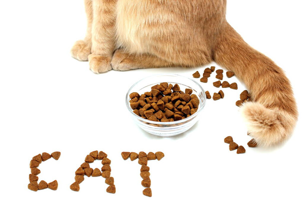 The CAT is written with dry cat food. Paws and tail of a red cat near a bowl of dry cat food. - Foto, afbeelding