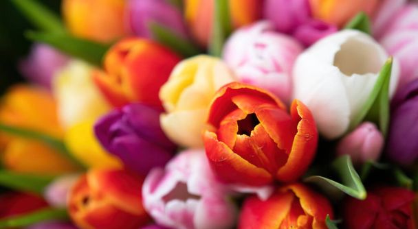 Colorful bouquet of beautiful tulips. Spring flowers. Full frame background. Greeting card with copy space for your advertising text message for Valentine's Day, Woman's Day and Mother's Day. - Valokuva, kuva