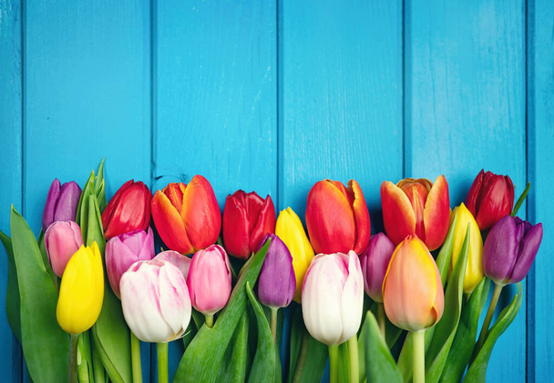 Colorful bouquet of tulips on blue wooden background. Spring flowers. Greeting card with copy space for Valentine's Day, Woman's Day and Mother's Day. Top view. - Photo, Image