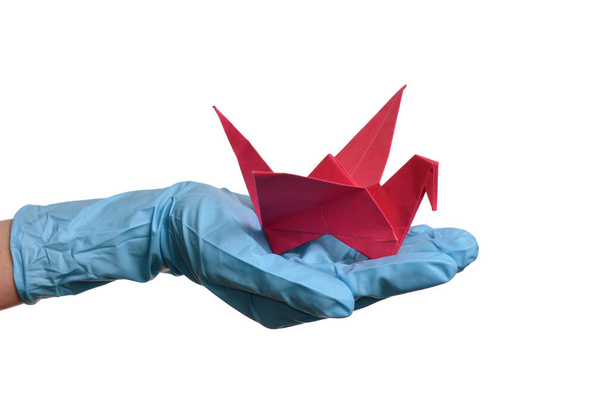 Origami paper crane in hand with rubber gloves over white - Photo, Image