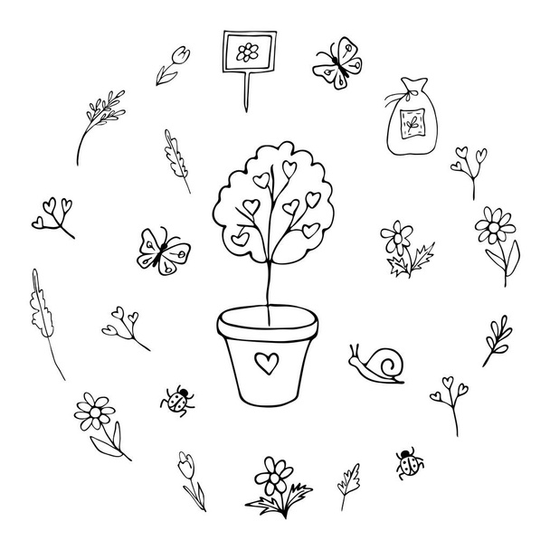 Tree sapling hand drawn black line. Set of flowers, insects, plants, seeds. Coloring. Image for your decor and design. Vector illustration Isolated objects on a white background. - Vektori, kuva