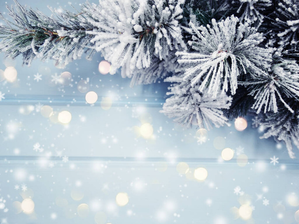 fond de Noël d'hiver avec branches de sapin cônes et neige sur texture en bois bleu                               - Photo, image