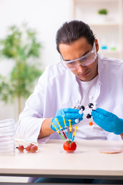 Jeune expert en nutrition masculine testant des produits alimentaires en laboratoire - Photo, image