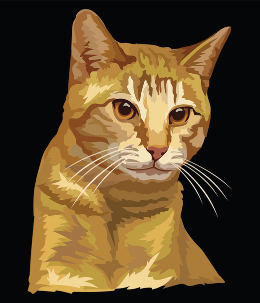 Dibujo vectorial colorido retrato de gato aislado sobre fondo negro. Retrato retro realista de gato. Vector vintage ilustración de gato. Imagen buena para el diseño, tarjetas y tatuaje. Ilustración general
 - Vector, Imagen