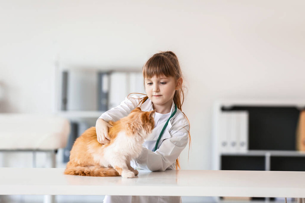 Kis állatorvos vizsgálata aranyos macska a klinikán - Fotó, kép