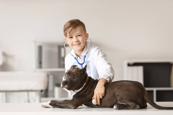 Little veterinarian examining cute dog in clinic - Photo, Image