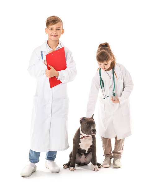 Μικροί κτηνίατροι με χαριτωμένο σκυλί σε λευκό φόντο - Φωτογραφία, εικόνα